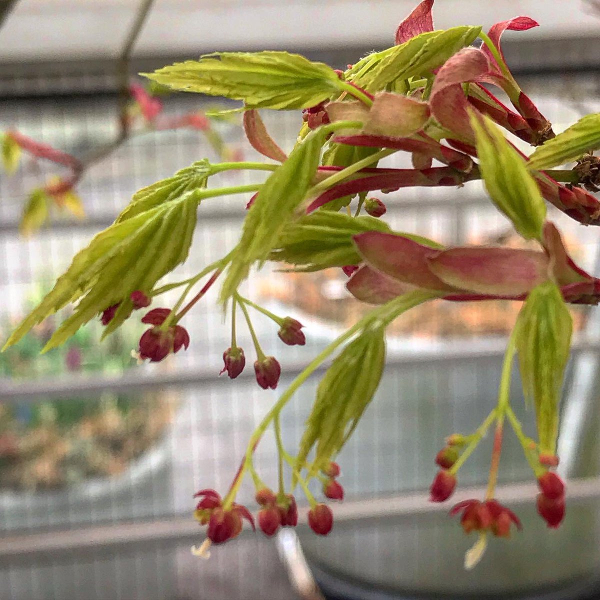 Dave Castro tweet media