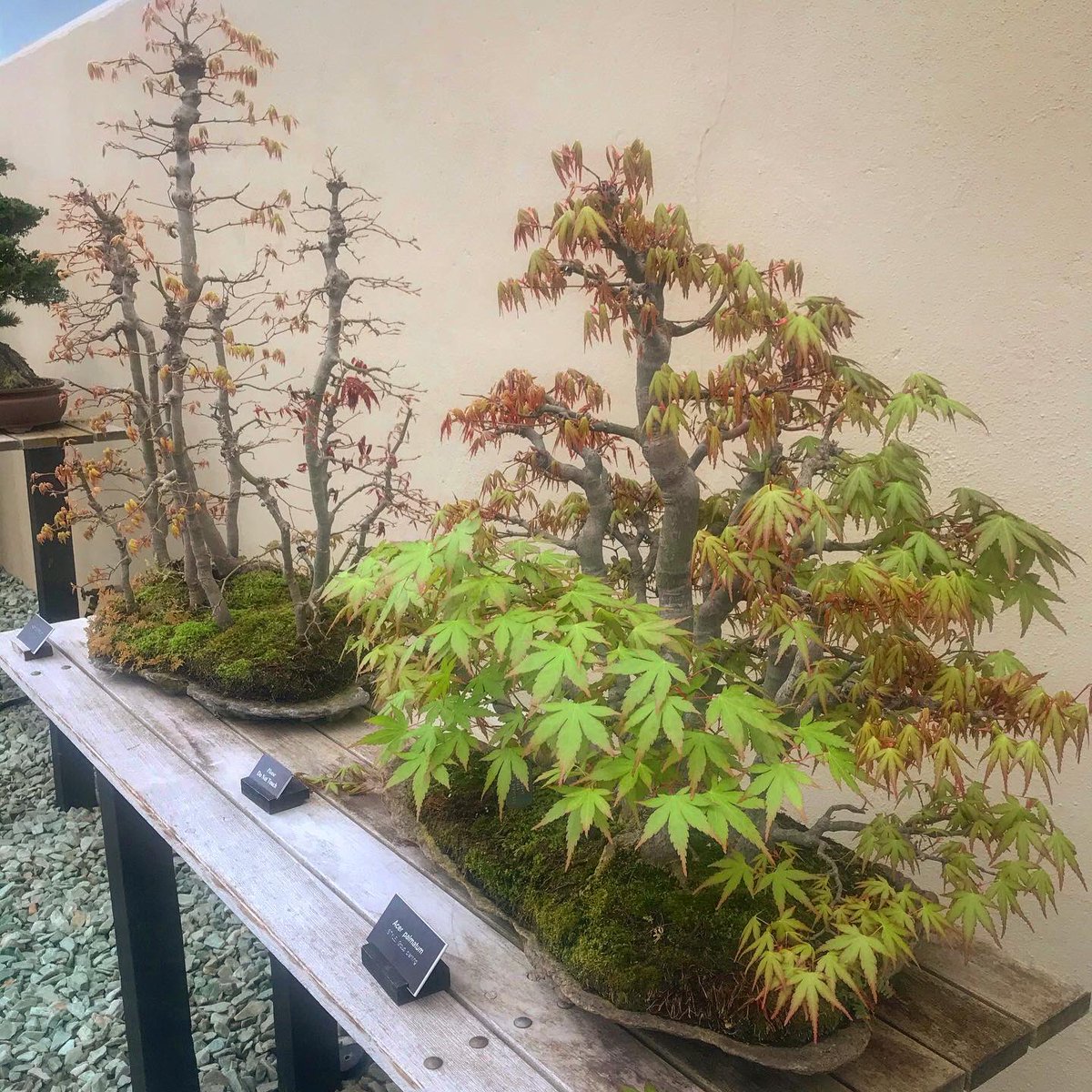 Dave Castro tweet media