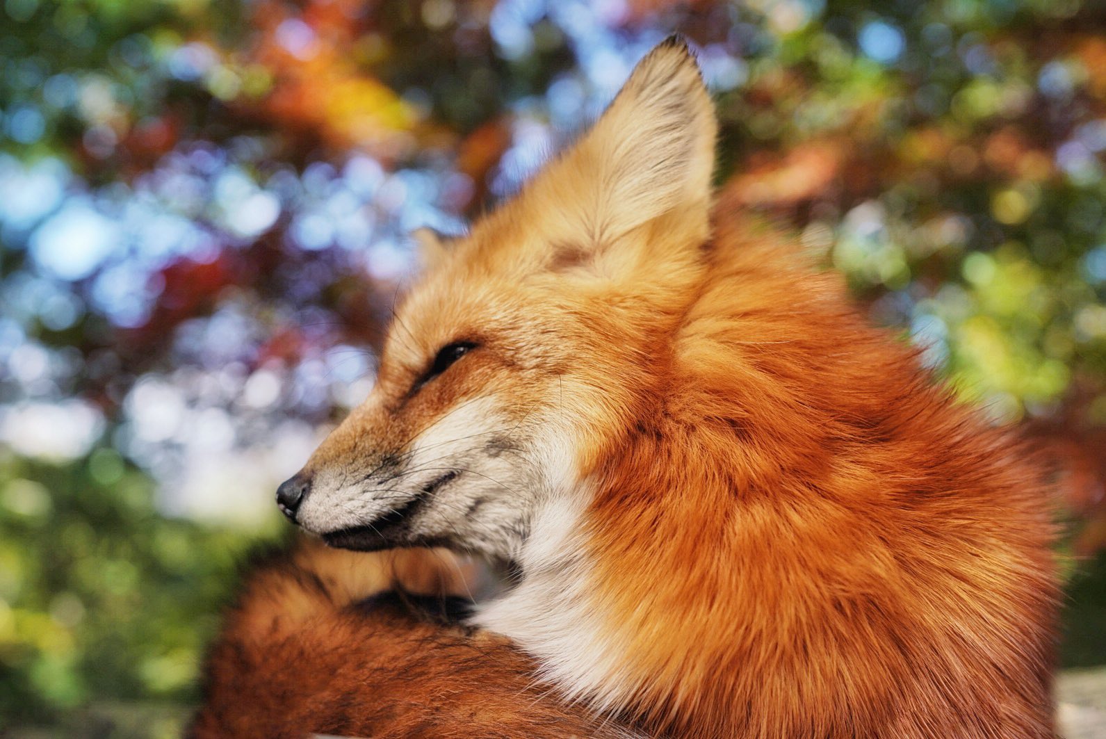 在twitter 上查看 Ttt Zegu952 在年3月31日的推文 Twitter