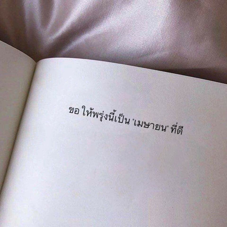 วีวี่ สุนัขชั้นสูง tweet media