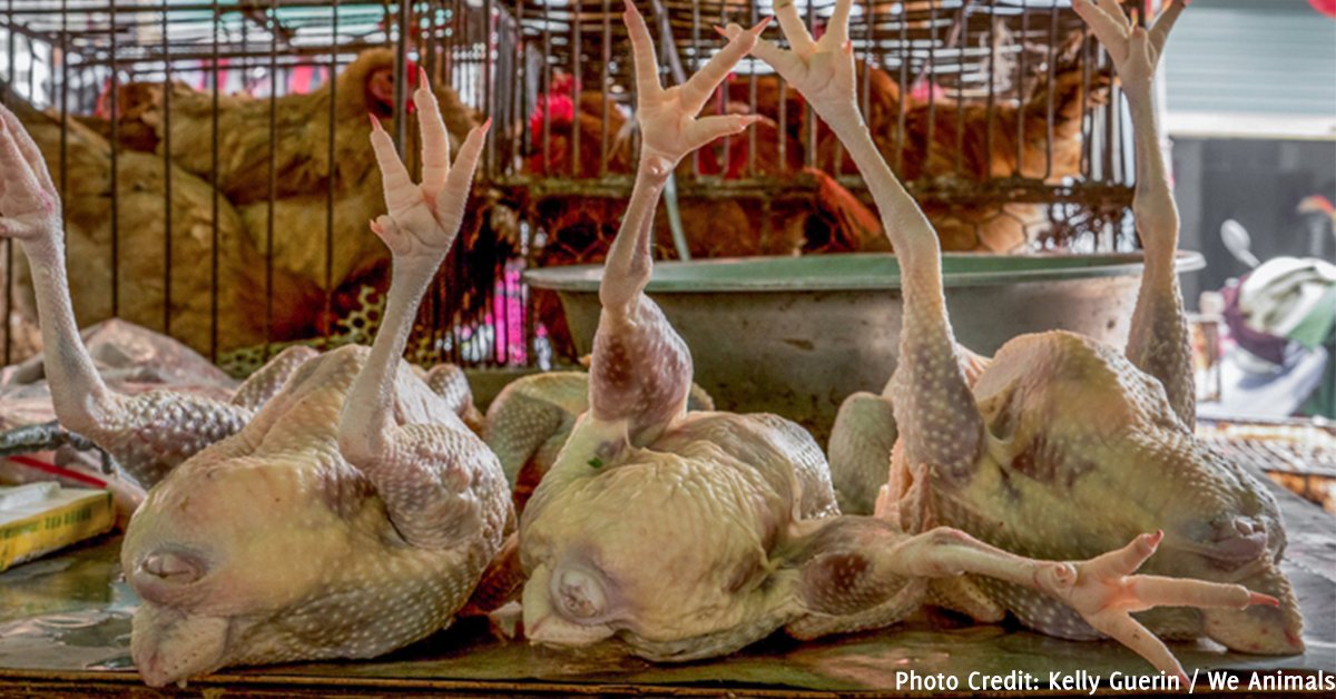 Wet Markets are places where seafood, meat, live animals are sold/butchered. These are there around the world.Are these places a source of deadly virus and bacteria?Not necessarily. As long as these markets sell only fresh products like seafood, meat, poultry prdts.. 2+
