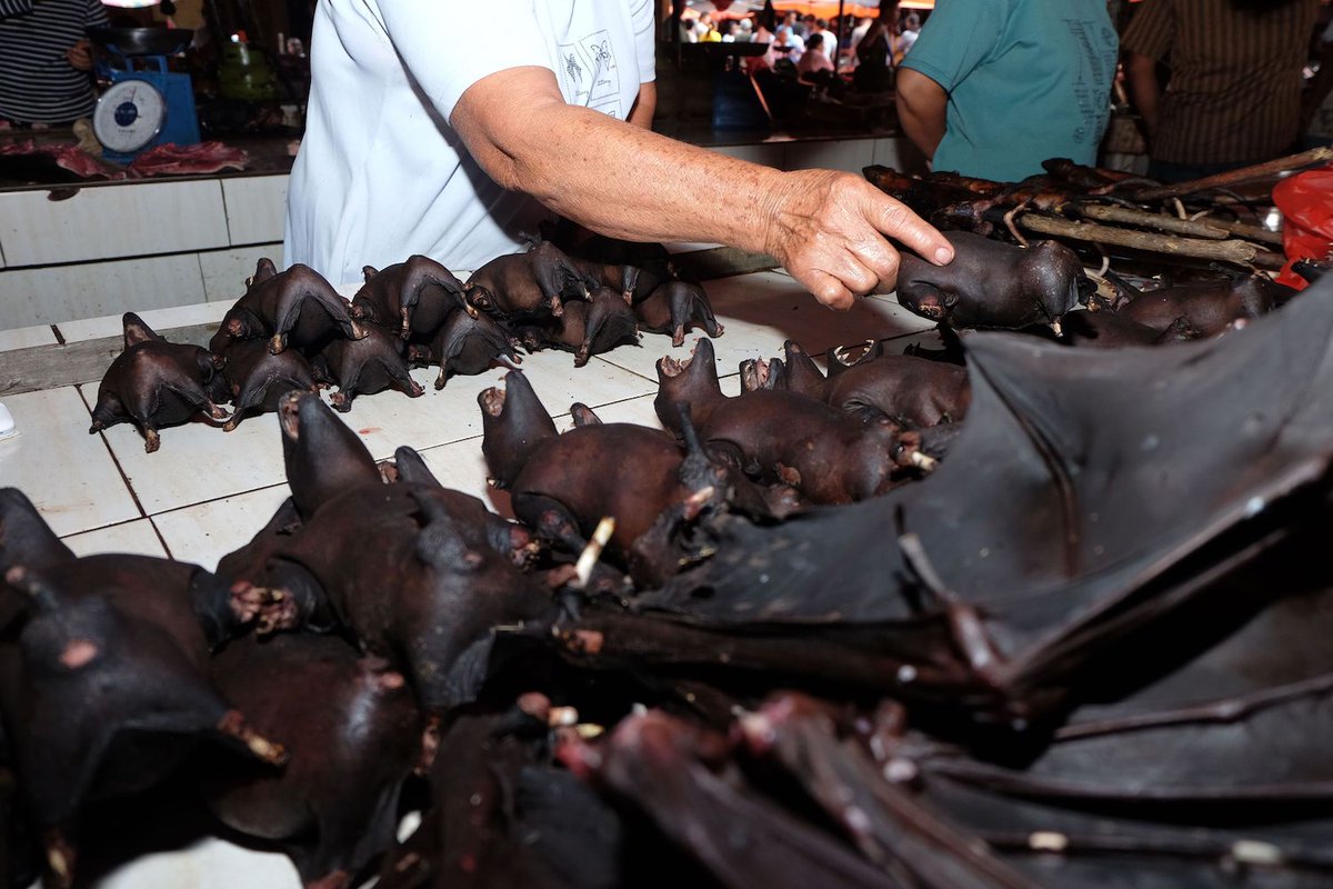 When does this Wet market becomes a matter of serious concern?When they sell Captive animals tht are of wild nature & not domesticated which means those animals did not take any vaccines or medications. Naturally, wild animals have microbes owing to their habitat in d forest. 3+