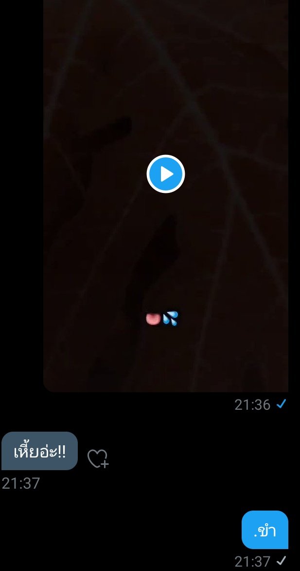 ขิงไอ้แมวครับผม ft.เลิกกันแล้วคับ tweet media
