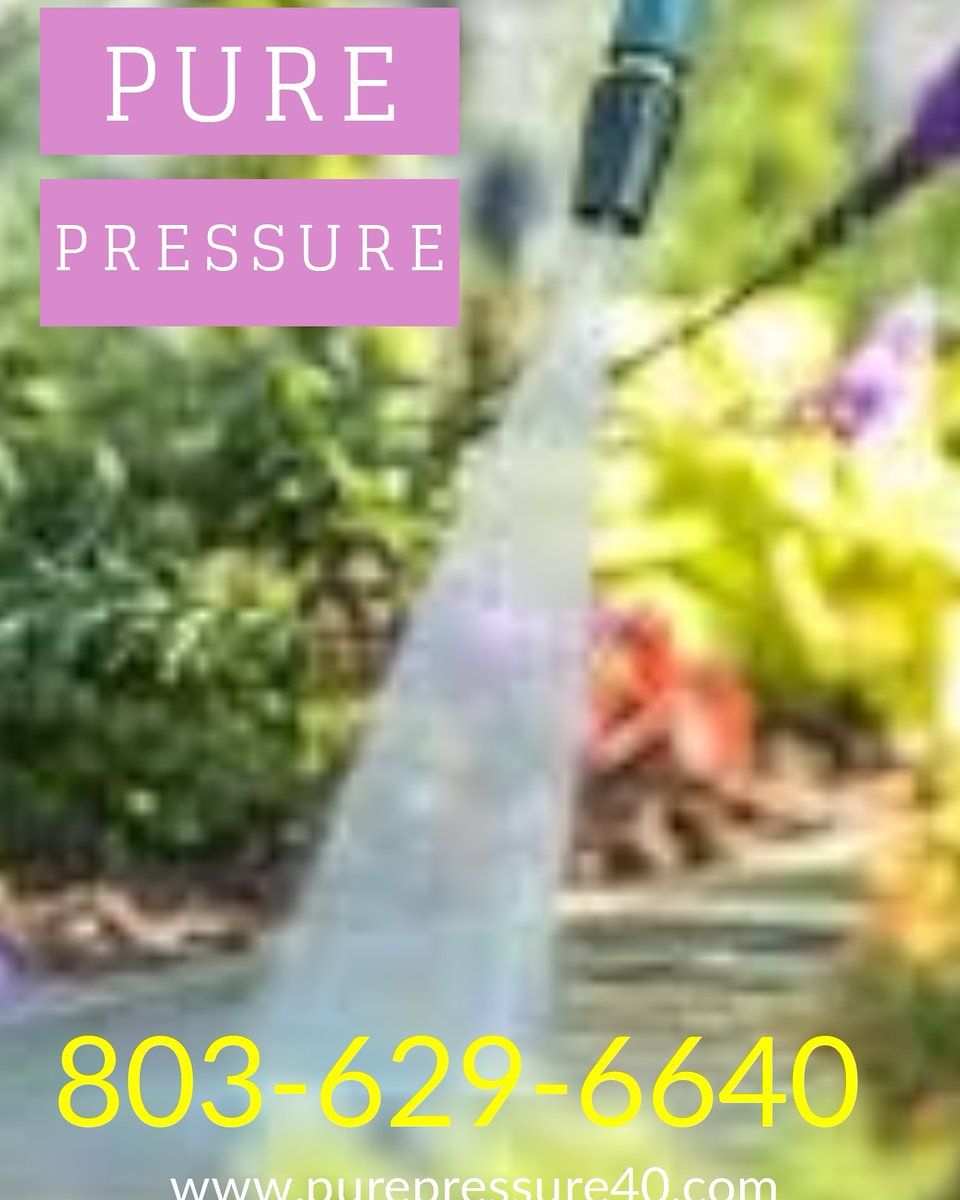 pressure40's tweet image. Call Today!!!! Book Today!!!