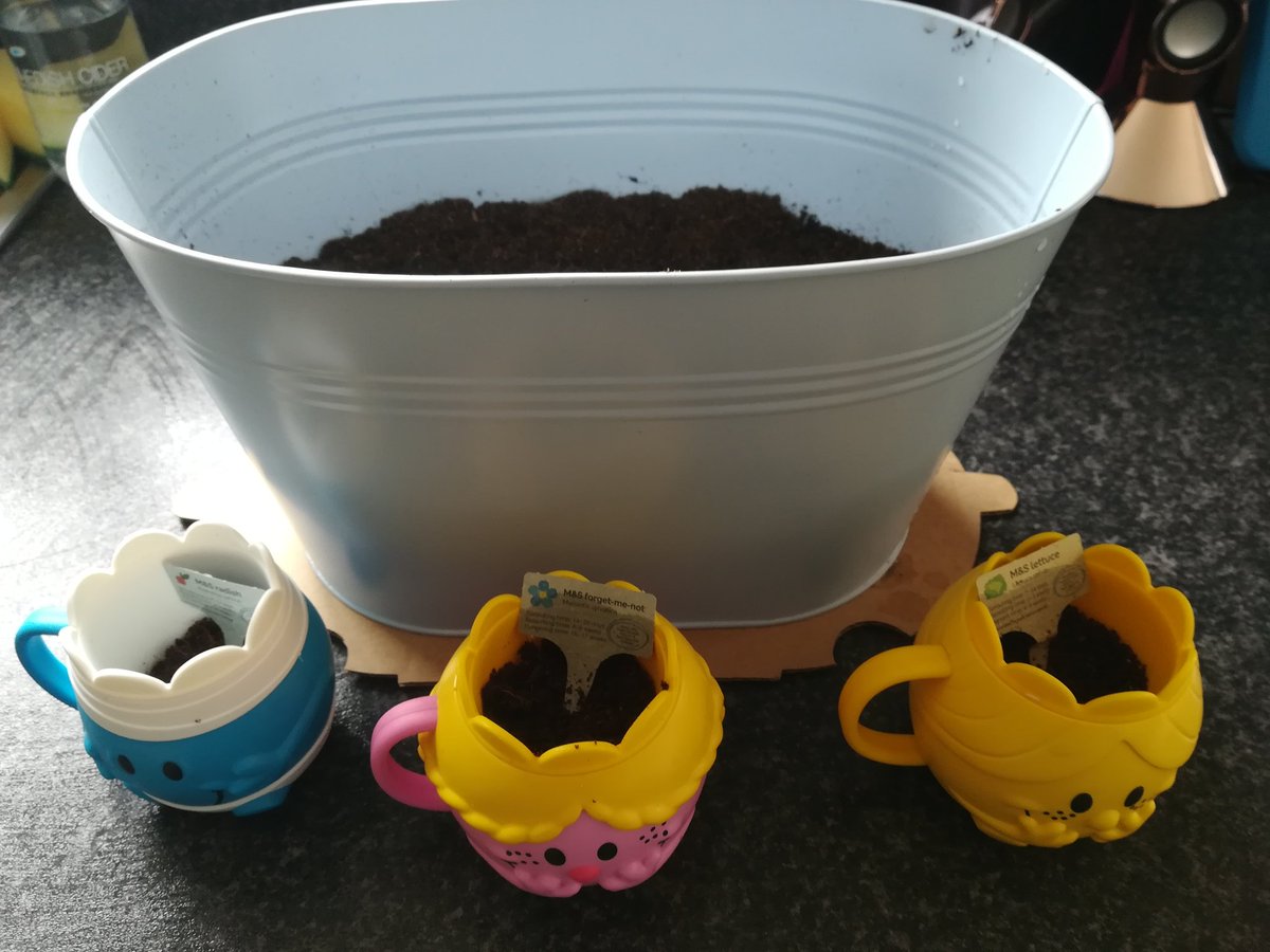 missdee__x's tweet photo. @MilnathortPS @MilnathortN  Amelia worked in some typing on the laptop this morning, while maisie worked on some pencil control, after lunch we planted some seeds 😍 https://t.co/BtxmWuRcUK
