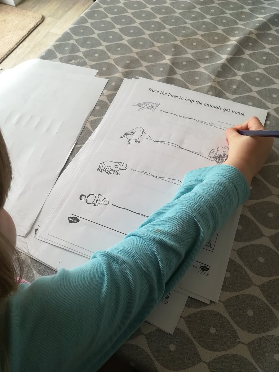 missdee__x's tweet photo. @MilnathortPS @MilnathortN  Amelia worked in some typing on the laptop this morning, while maisie worked on some pencil control, after lunch we planted some seeds 😍 https://t.co/BtxmWuRcUK