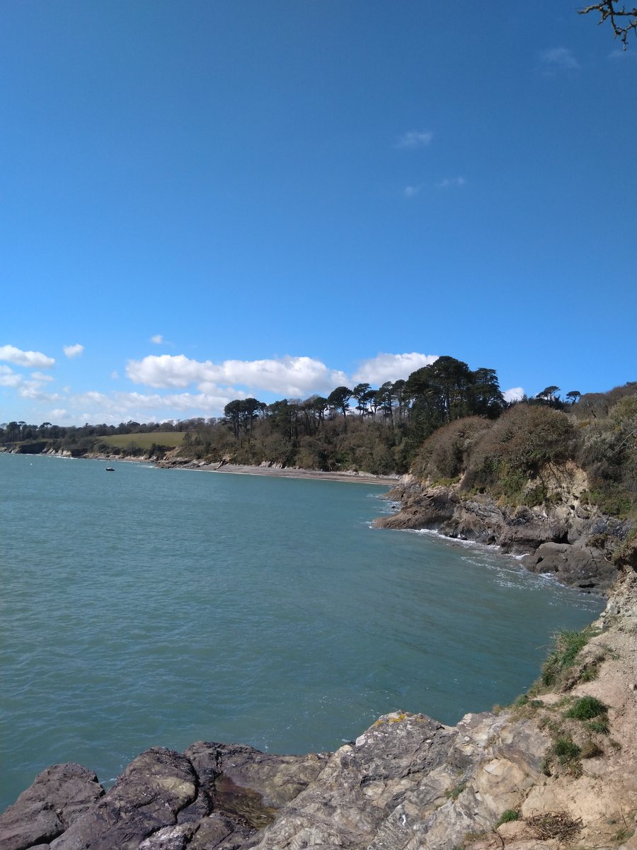 sprogsanddogs's tweet photo. A much needed #socialdistancing tootle by the river complete. Pic looking west towards #GrebeBeach and #Durgan. #HelfordRiver #Helford #Cornwall #Sea #VitaminSea #barelyasoultobeseen https://t.co/5N8FSjIiRF