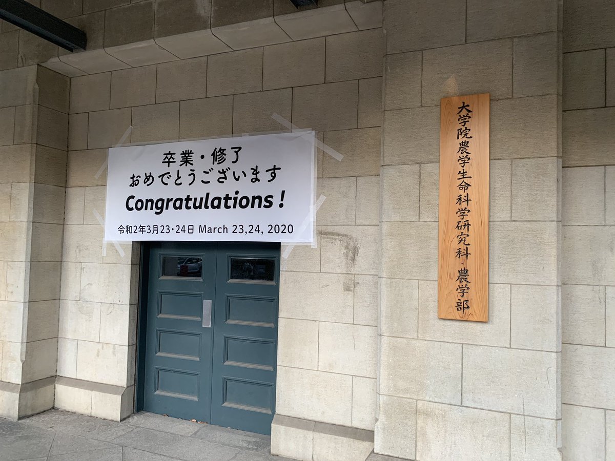 tenihama's tweet photo. 先日、一年遅れで卒業しました

この3年間色々と大変なことの方が多かったですが、最終的に小さな賞を頂くことができました

自分が修士卒業を選んだわけで、
今の能力で修士として入っていたら
少し状況が違ったんじゃないかと悔しい
気持ちもありますが悔いはないです

明日から社会人生活頑張ります https://t.co/oDN29b1map