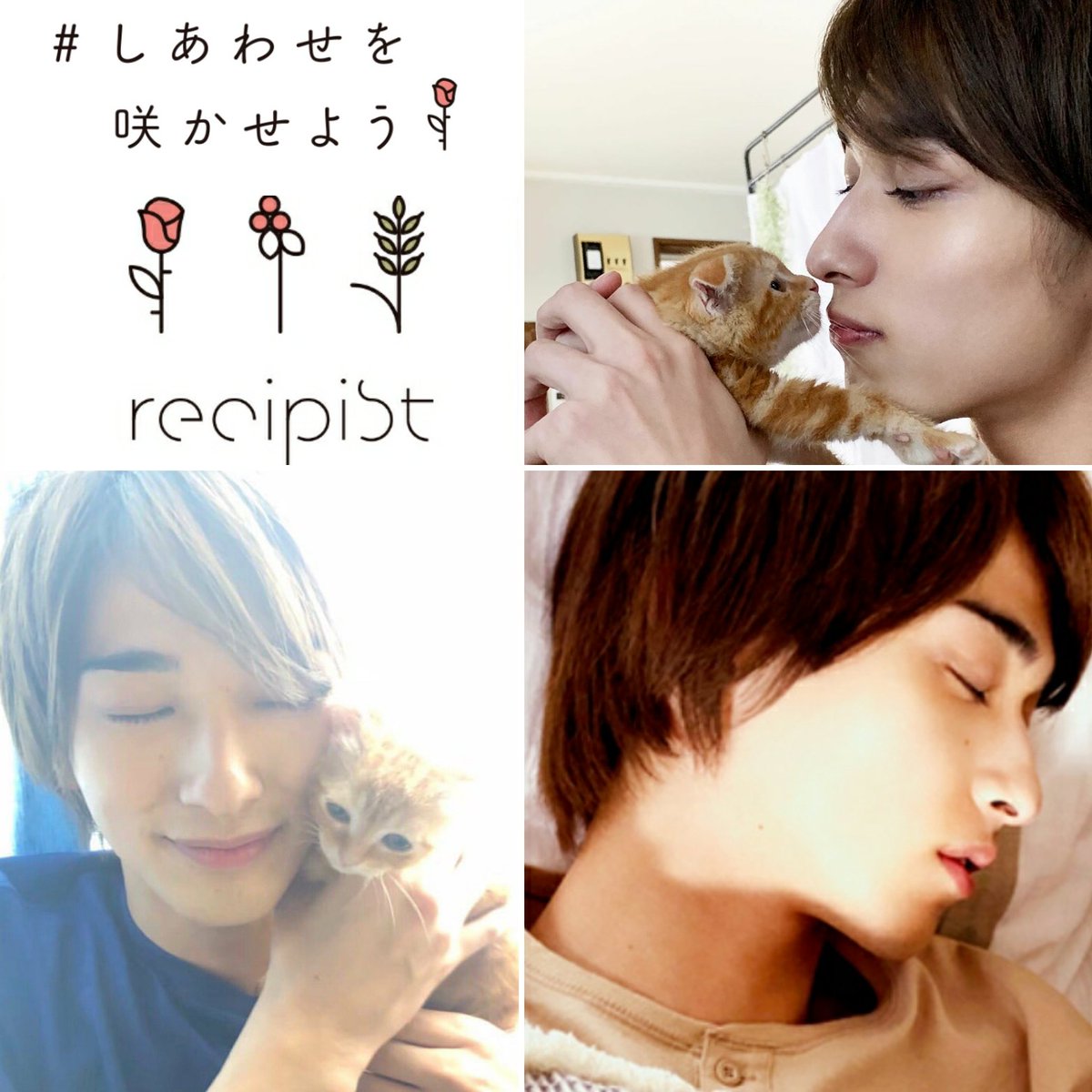 hamajun0916's tweet photo. 両手に抱えきれないほどいっぱいに咲かせたしあわせ🍀を見返してる。
ずいぶん妬かせてくれたよね…でも良い笑顔。
りゅう、元気でね。

#たおりゅう 
#レシピスト 
#recipist 
#しあわせを咲かせよう 
#ハナちゃん大きくなったかな 
#横浜流星 
@recipist_pr https://t.co/5bXeDbormU