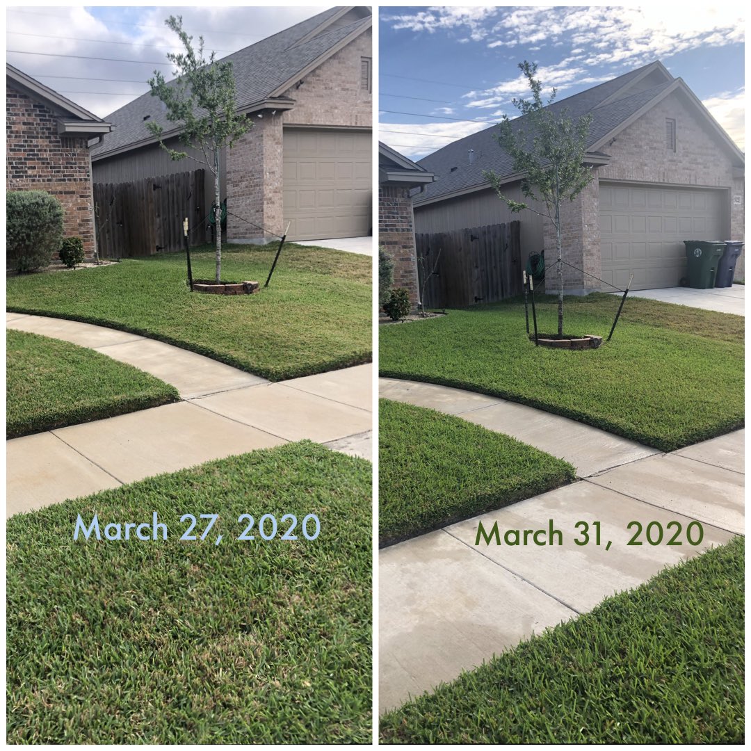donslawns1's tweet photo. Local fertilizer is the best fertilizer! Look at the pop of growth and color in just 4 days!! Applied 7#/1k, and the lawn is loving it. π
#supportlocal #localnursery #shoplocal #fertilizer #staugustinegrass #lawn #lawncare #lawncarenut #corpuschristi #texas #youtube #donslawns https://t.co/Y6TaV5QvBa