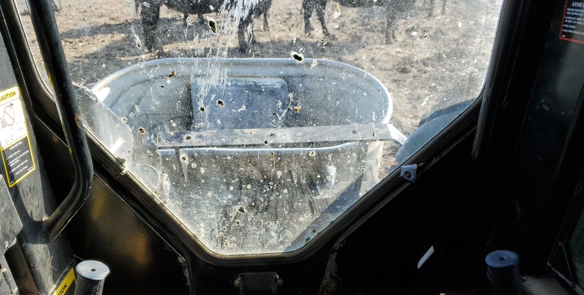 This morning's view from inside the skidloader. Now that we have fewer pigs, we are shifting around equipment to improve chore efficiency and comfort for the sows.