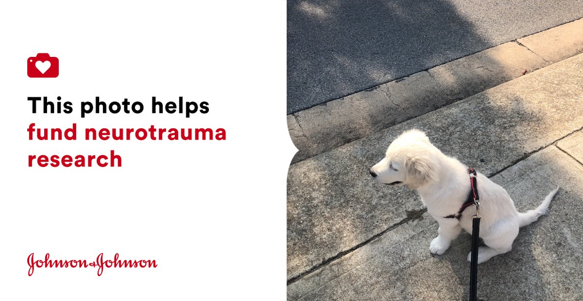Jack #jnj @donateaphoto bit.ly/346kxd2