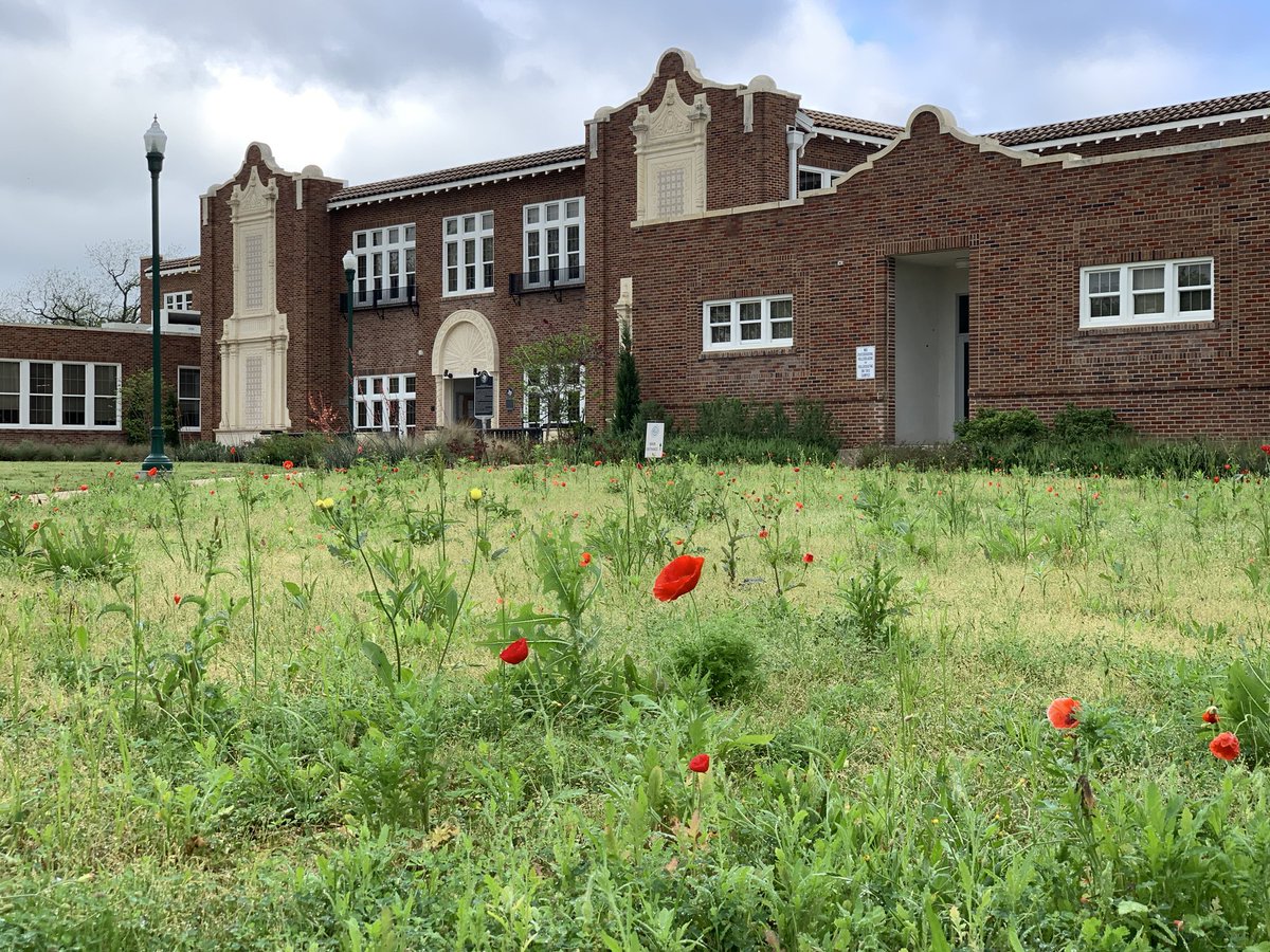 Fred Brent tweet media