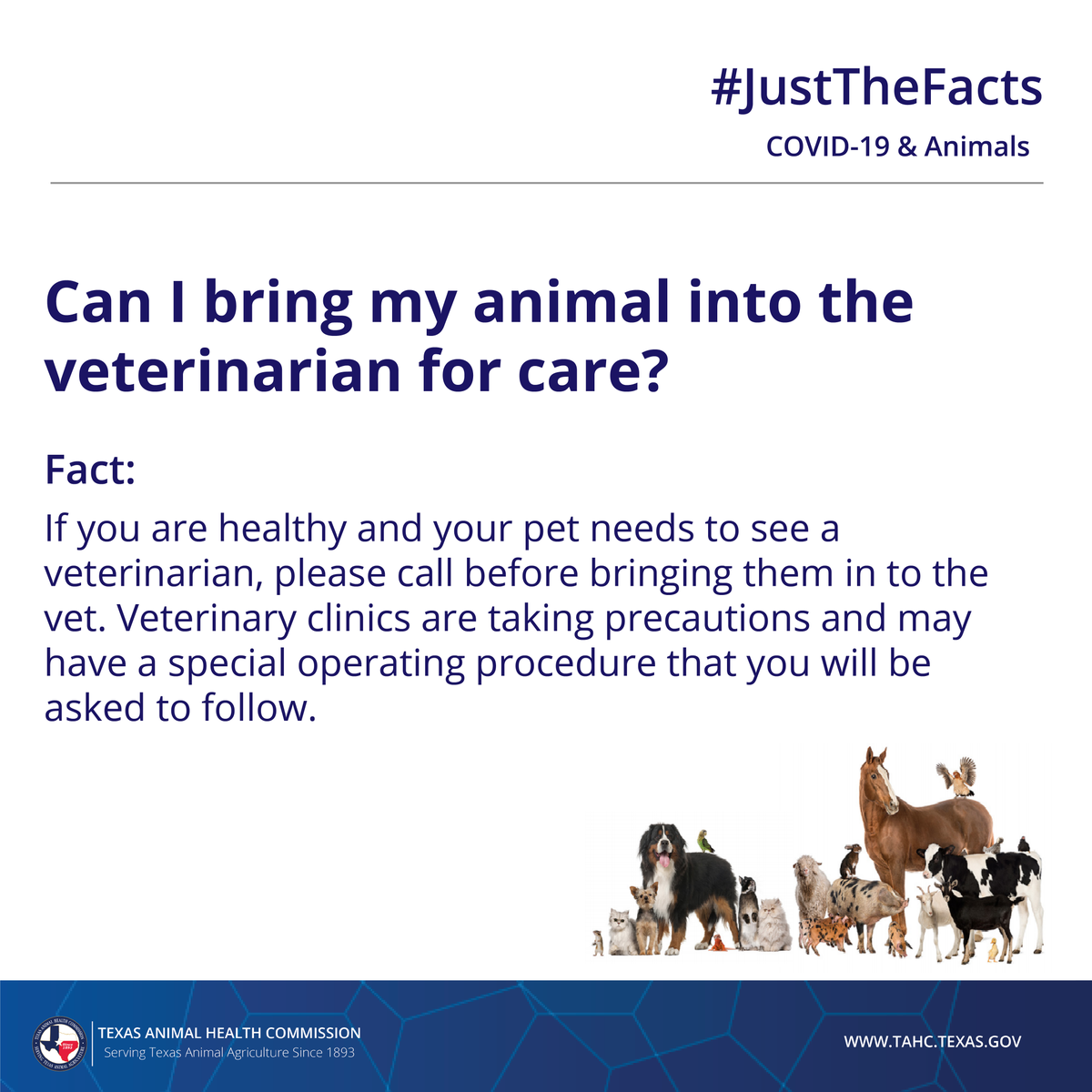 TAHC's tweet photo. Curious about COVID-19 and your pets? We are here to bring you #JustTheFacts .
For more information, visit https://t.co/B5QpakfU0k
#COVID19 #TxPets #TxVets https://t.co/v4pHeilQpI