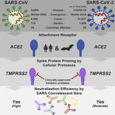 A recent Cell paper shows the efficacy of CM in vitro models. This study provides evidence that host cell entry of SARS-CoV-2 depends on TMPRSS2 & ACE2, and can be blocked by an inhibitor of the cellular serine protease TMPRSS2 CM. https://www.cell.com/cell/fulltext/S0092-8674(20)30229-4?rss=yes#%20 #COVID1918/x
