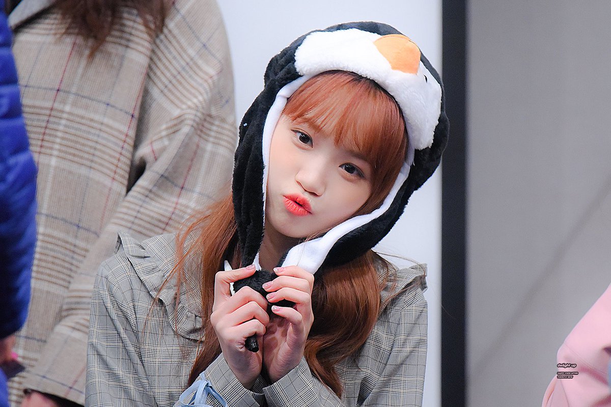 delightup_new's tweet photo. 울공쥬🐧🐰💗

#김채원 #キム・チェウォン #아이즈원 #IZONE https://t.co/ysyfUdBeLv