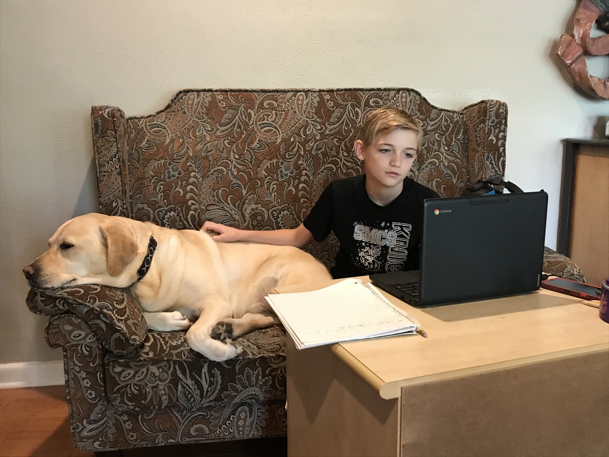StMarthaCS's tweet photo. #eLearning is well underway for #SMCS! We have missed our students and are so excited to see everyone "in class"! #ExcellenceInKnowledge https://t.co/ngrzglx8w3