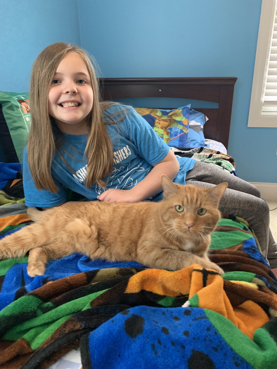WhitneyStef's tweet photo. Paw-Fect Tuesday! We love our pets ❤️@FoxElementary #FESatHome https://t.co/6VcdCEZ6XQ