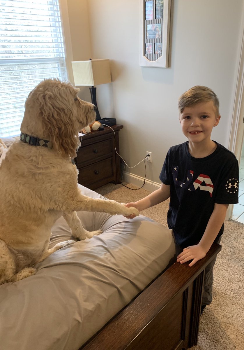 WhitneyStef's tweet photo. Paw-Fect Tuesday! We love our pets ❤️@FoxElementary #FESatHome https://t.co/6VcdCEZ6XQ