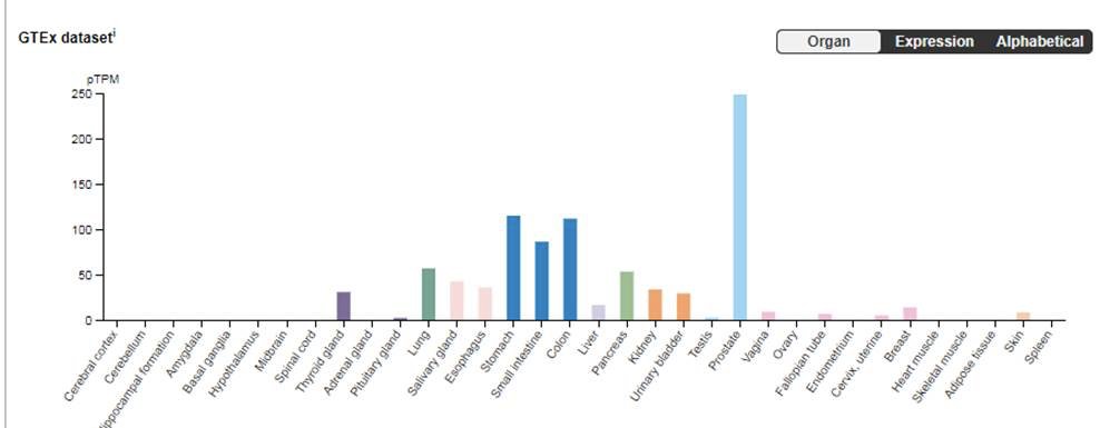 Overall expression across different tissues of TMPRSS2 is highest in prostate. It is also high in stomach, intestine, colon (could this explain some of the GI issues), and lung you see in green. https://www.proteinatlas.org/ENSG00000184012-TMPRSS2/tissuecid:image001.jpg@01D60732.89F96330