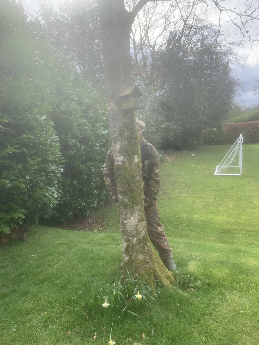 Sed_Sedgwick's tweet photo. My wife and kids are growing increasingly concerned with the amount of time I have on my hands #hometasking4 #Sedberghathome https://t.co/Kj6t7hdvlD