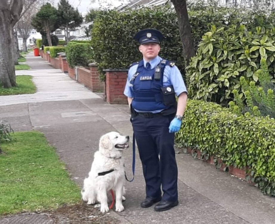 Gda Pat Tarrant Comm Policing Rathfarnham bringing ‘Sonnie’ for a walk for an elderly resident currently "cocooning" in his district. As you can see from the pic, ‘Sonnie’ only delighted to get out on patrol with Pat
#HereToHelp
#PhysicalDistancing
#StayAtHomeAndStaySafe