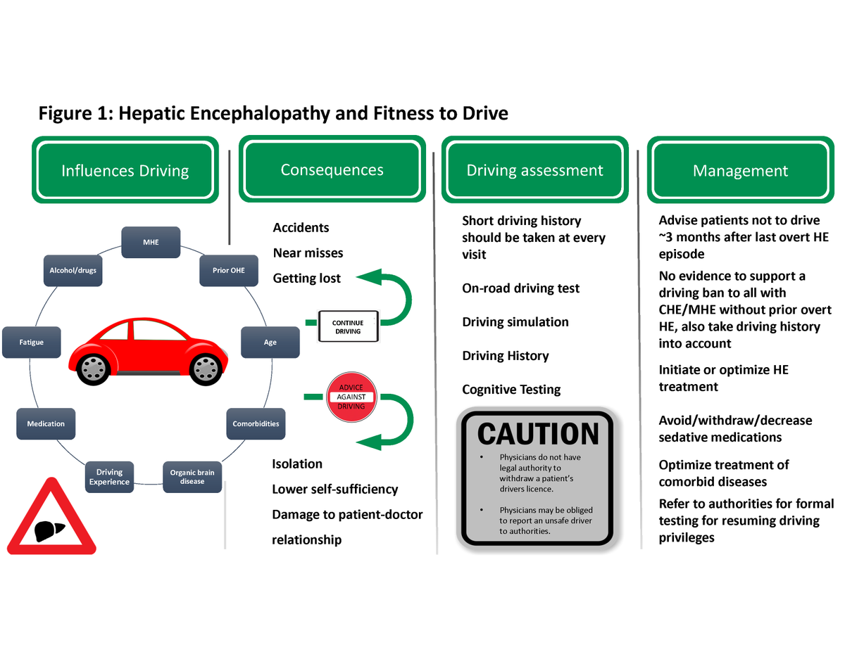 JasmohanBajaj's tweet photo. It's out! 5 unresolved questions in #hepaticencephalopathy
- Driving?
- Blood Ammonia levels?
- Covert/minimal HE testing?
- New HE therapies?
- Nutrition/Sarcopenia/PROs
Read the #ISHEN consensus in #AMJGastro
https://t.co/vLeteceDLq
@AmCollegeGastro @AASLDtweets Authors tagged https://t.co/QhZM6UBEjI