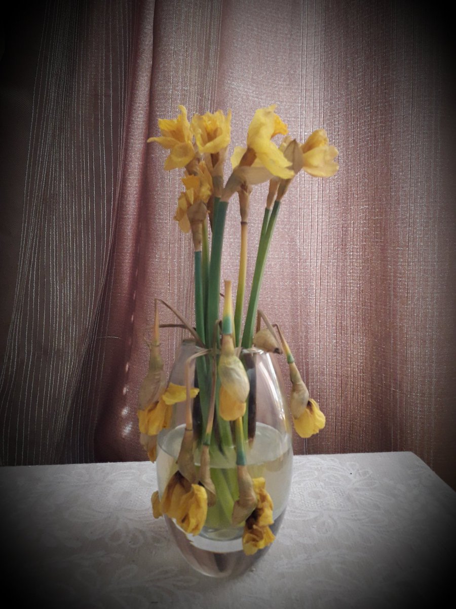 nlomanto's tweet photo. @GettyMuseum I don't have any Sunflowers...or fresh flowers! https://t.co/gCdUIaxQry