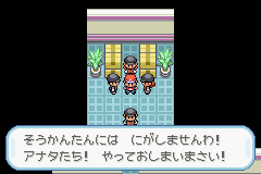 メスプリット エイプリルフール恒例暴露コーナーですが メスプリットver0 4のサイガジエビル左ルートで2回ある強制ダブルバトル時に手持ちが一匹だけしかいないと手持ちにナイヨ が加わります