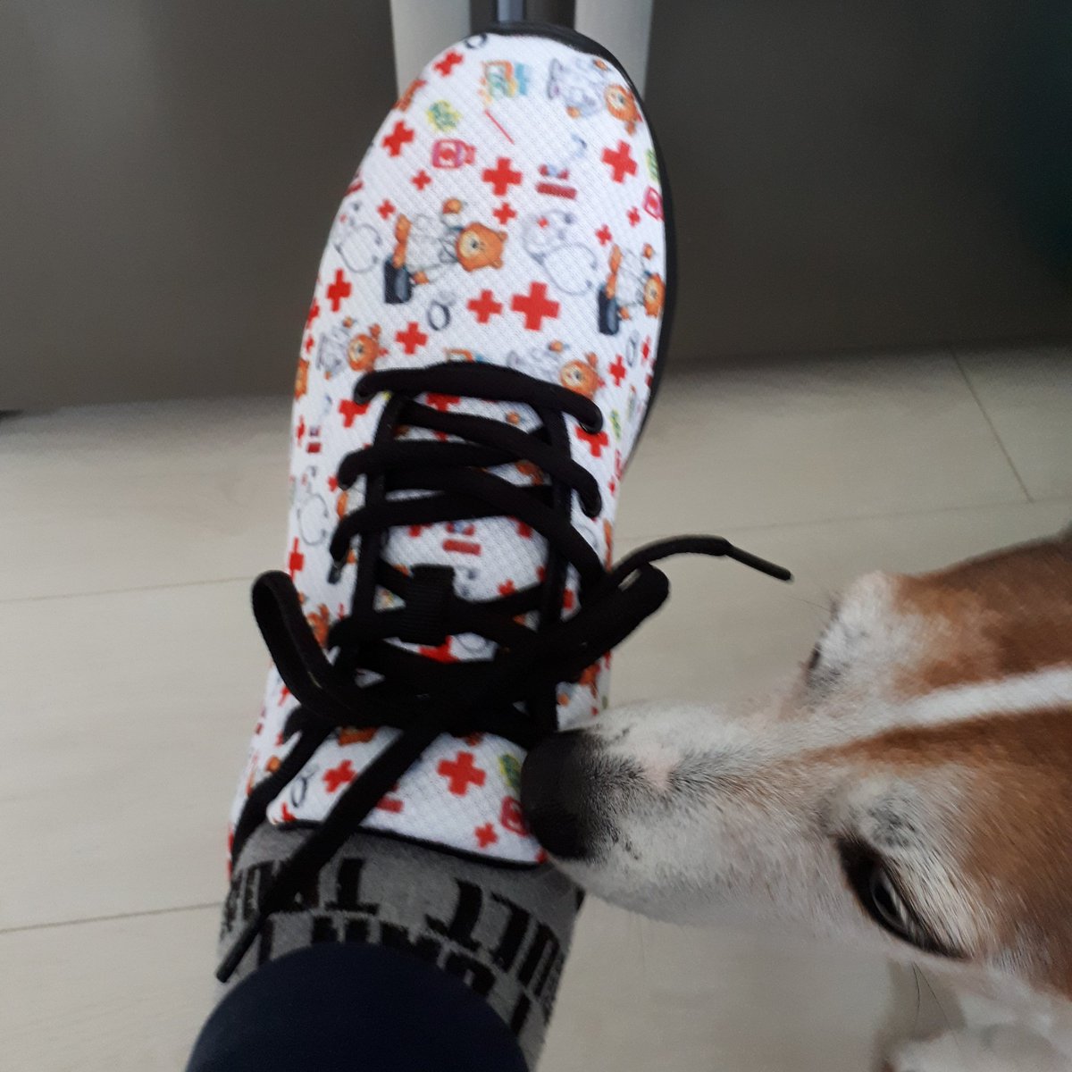 Zombie_Queen1's tweet photo. Mouse checking out my new trainers in support of the NHS π
#SupportTheNHS #StaySafe #StayAtHome #joggingmachine #WeCanDoThisTogether #keepfit #ExerciseAtHome #HelpEachOther #love #TuesdayMotivation #jrt #mouse https://t.co/HLgUfuYxAb