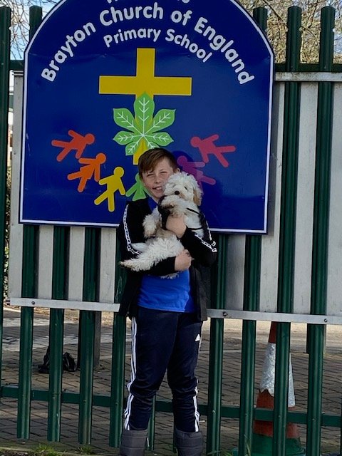 Happiest dogs in Brayton! There's no restrictions on cuddling our furry friends. But don't forget to pick up that poo!