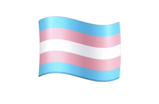 🏳️‍⚧️ Transgender Flag Emoji