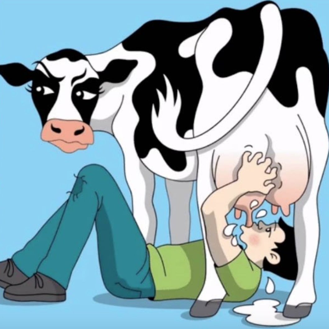 Milk cow titty Milk