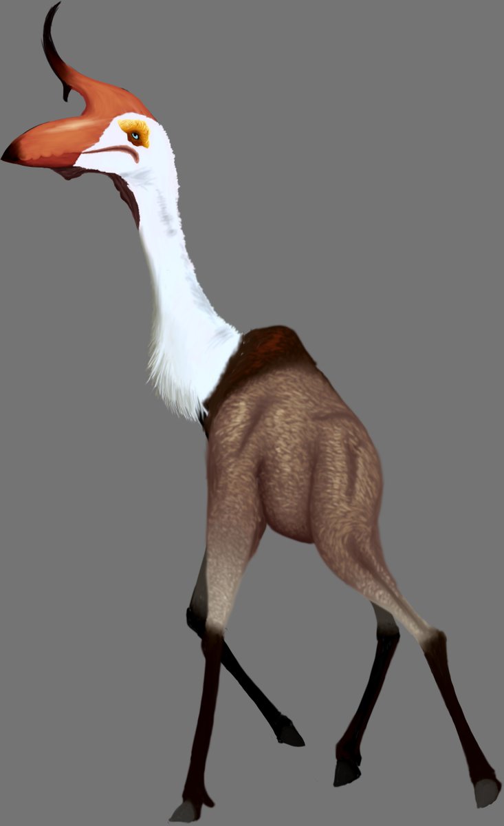 prasokour's tweet photo. Here's a speculative flightless pterosaur because...shut up. https://t.co/gTEzZKFYn4