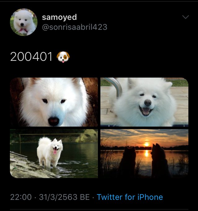 janenana_'s tweet photo. #AprilFoolsDay

บ้านไซต์แจมิน           บ้านไซต์เจโน่

บ้านไซต์เหรินจวิ้น      บ้านไซต์แฮชาน https://t.co/ZSkVWpsUMc