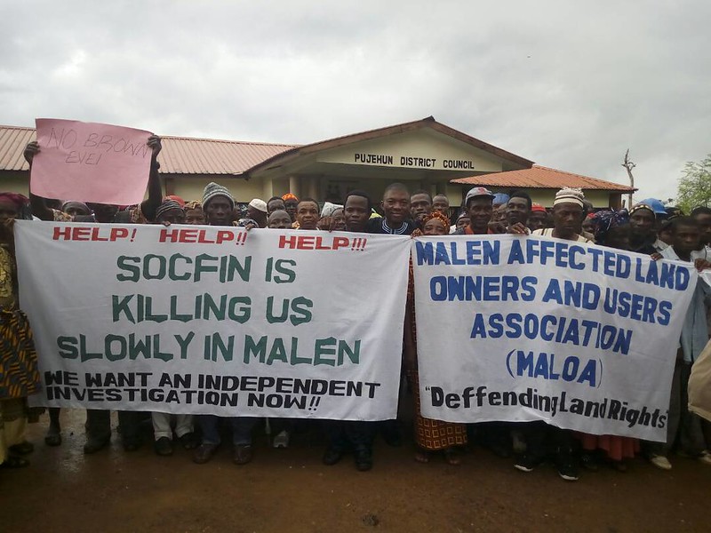 Investigation Report confirms the claims of the communities affected by #SOCFIN's activities: illegal land leases, inadequate compensation, buffer zones not respected, ... CSOs call on the Sierra Leone Gvt to start the conflict resolution process ASAP!  farmlandgrab.org/post/view/2952…