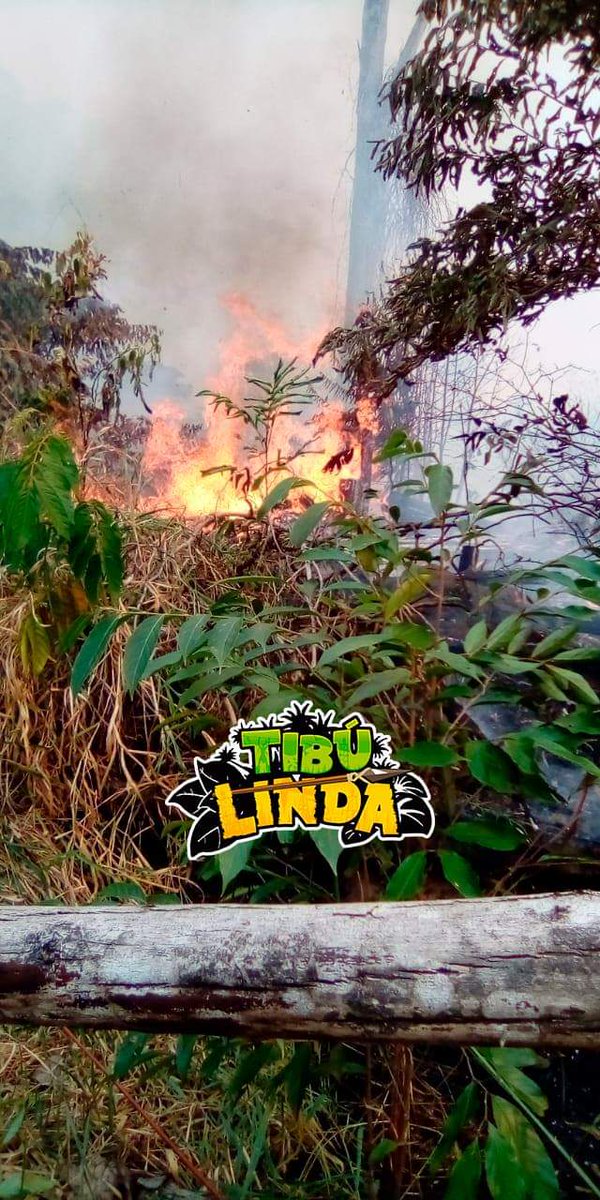 TIBULINDA's tweet photo. #URGENTE  #Tibú ⚠️ En el sector de la libertad, puerto Reyes se está presentando un incendió en un cerro, la comunidad está tratando de controlar, pero la magnitud es bastante grande. https://t.co/FnhDxRMFXo