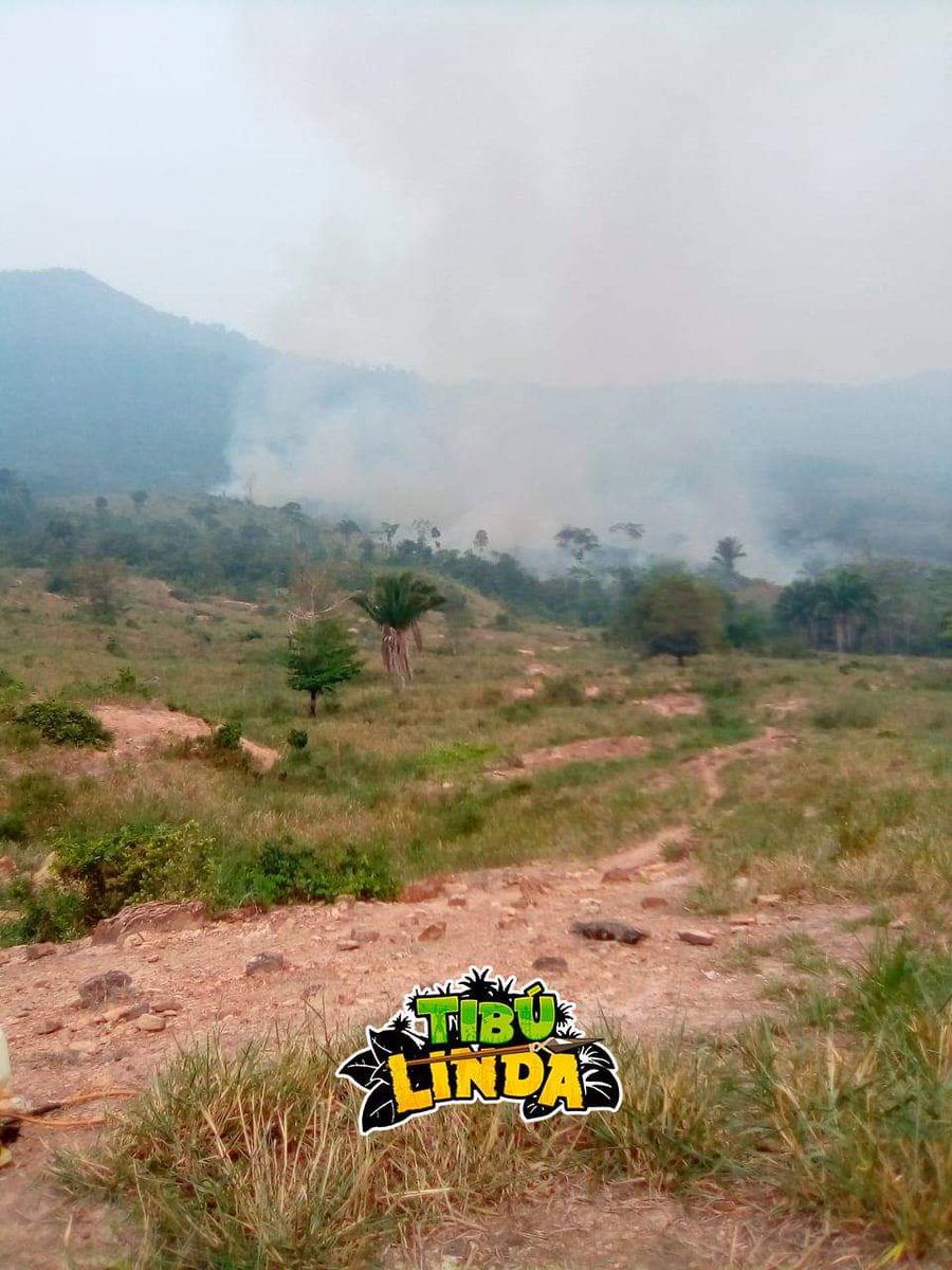 TIBULINDA's tweet photo. #URGENTE  #Tibú ⚠️ En el sector de la libertad, puerto Reyes se está presentando un incendió en un cerro, la comunidad está tratando de controlar, pero la magnitud es bastante grande. https://t.co/FnhDxRMFXo