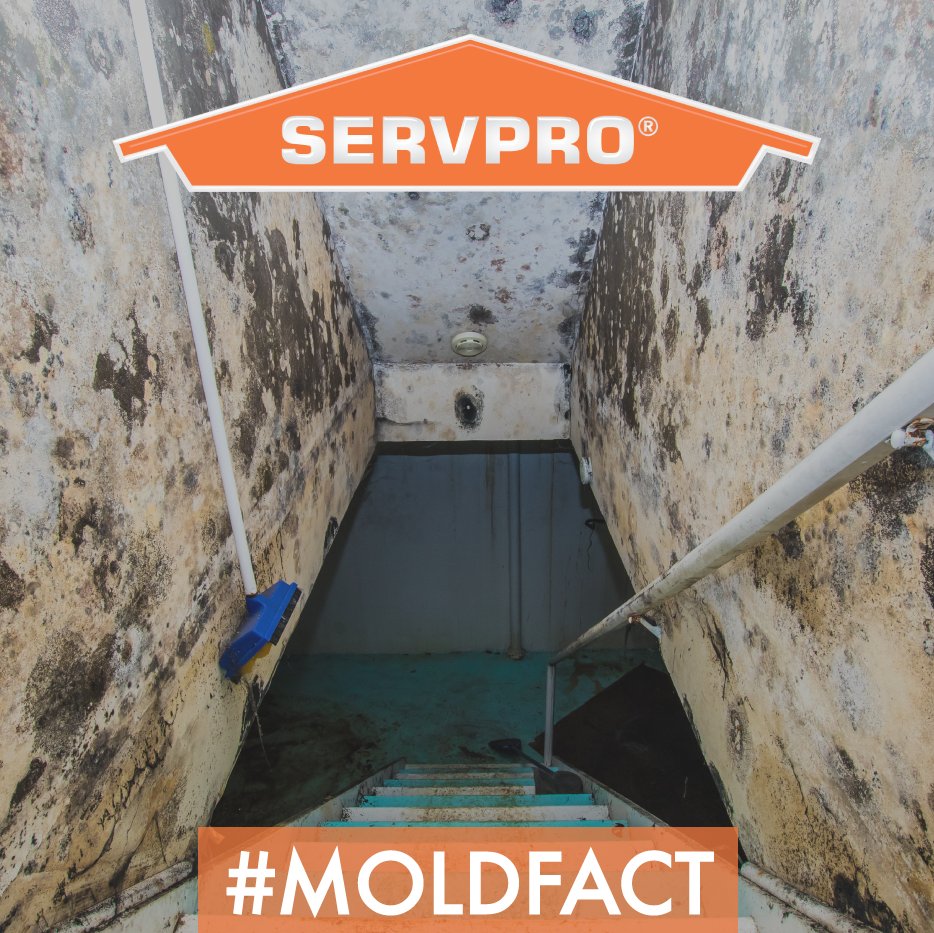 SERVPRO_NTempe's tweet photo. Mold is one of the only organisms that doesn’t need light to grow, meaning it thrives in dark, wet areas. #MoldFact https://t.co/ndGdWGly7v
