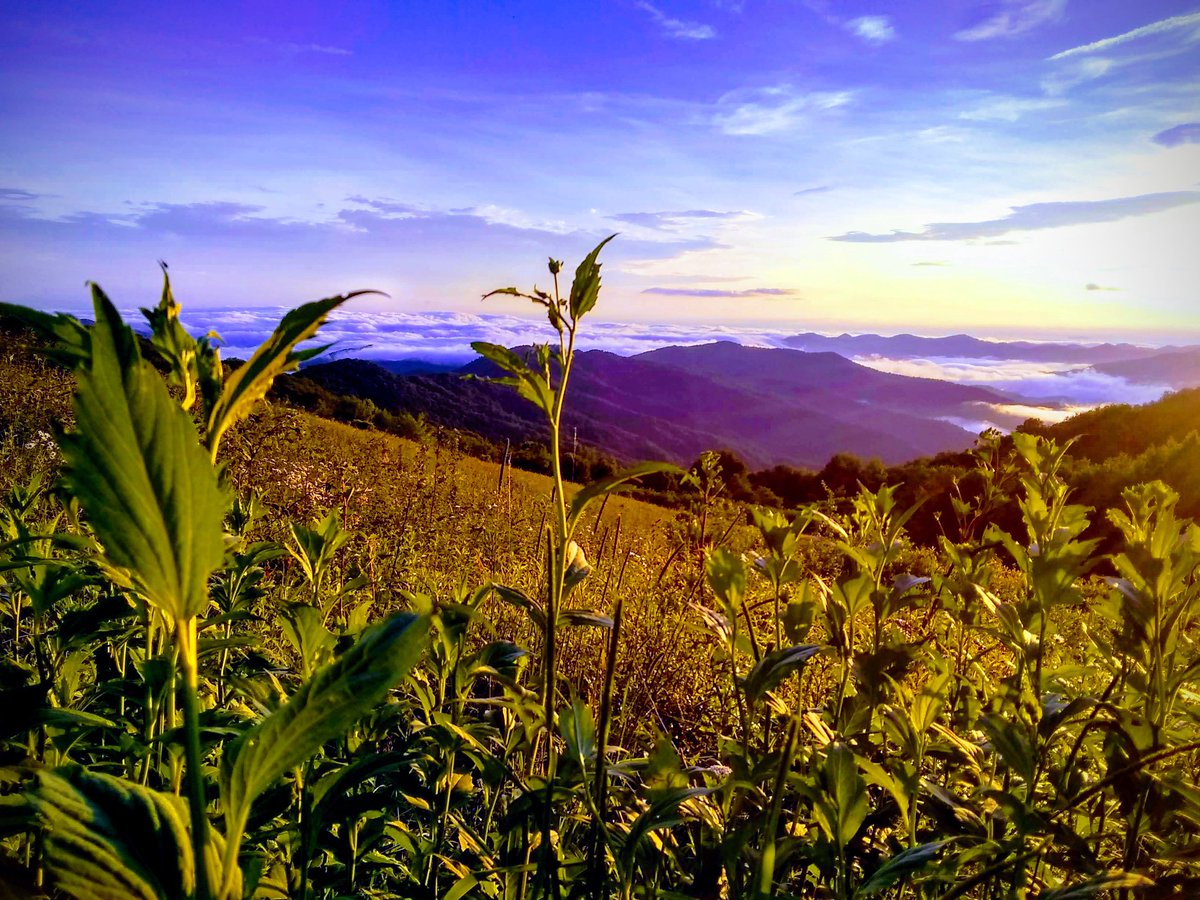 GreatSmokyNPS tweet media