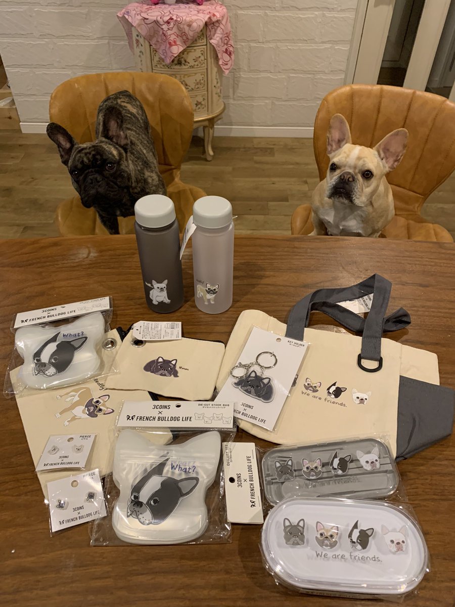 0309daifuku's tweet image. 今日は待ちに待った(@FreBullLife )さんと3COINSさんのコラボ企画の商品発売日🎊😍🎊

仕事帰りに慌てて買いに行ってきたよ😃🙌
大好きなお友達フォーンのコタツ君がモデルに選ばれてるの♬♬♬
でも今日発売日なのに人気で完売しちゃった物もあって凄いブヒ人気を確信し嬉しいやら悲しいやら💕🙏💕