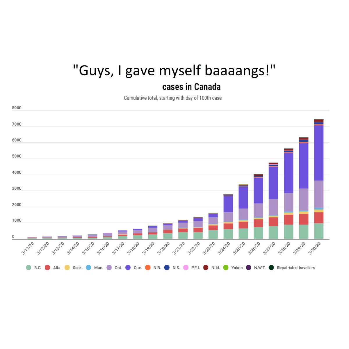 rcgoulet's tweet photo. Was browsing #quarantinelife this weekend and couldn't resist making this, to make myself laugh a little. #igotbangs #selfisolating https://t.co/hoHOzHoRPW
