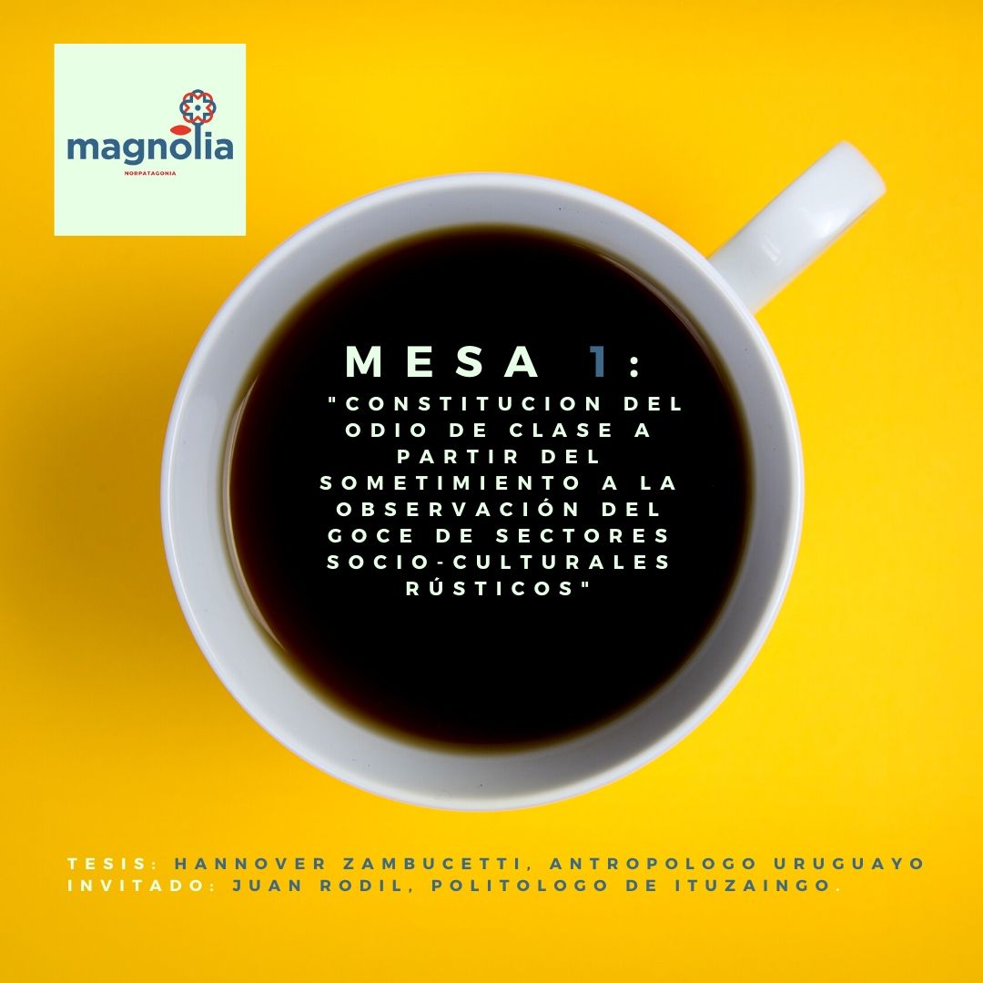 MagnoliaSur's tweet photo. Anoche se desarrolló el 1er. Módulo: "Constitución del odio de clase a partir del sometimiento a la observación del goce de sectores socioculturales rústicos" o "Cómo se hace un gorila" con el Lic @juancitorodil como docente invitado. Inolvidable #CyberCafeMagnolia #DesdeCasa https://t.co/EkzEejjich