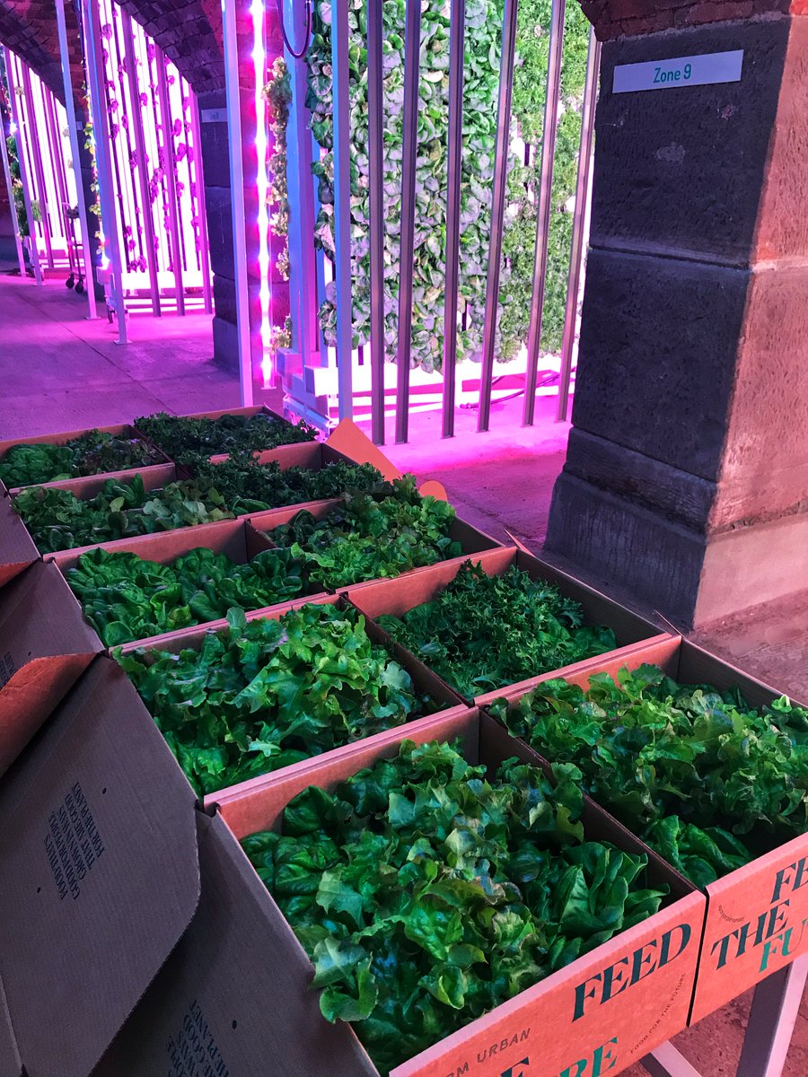 Farm Urban tweet media