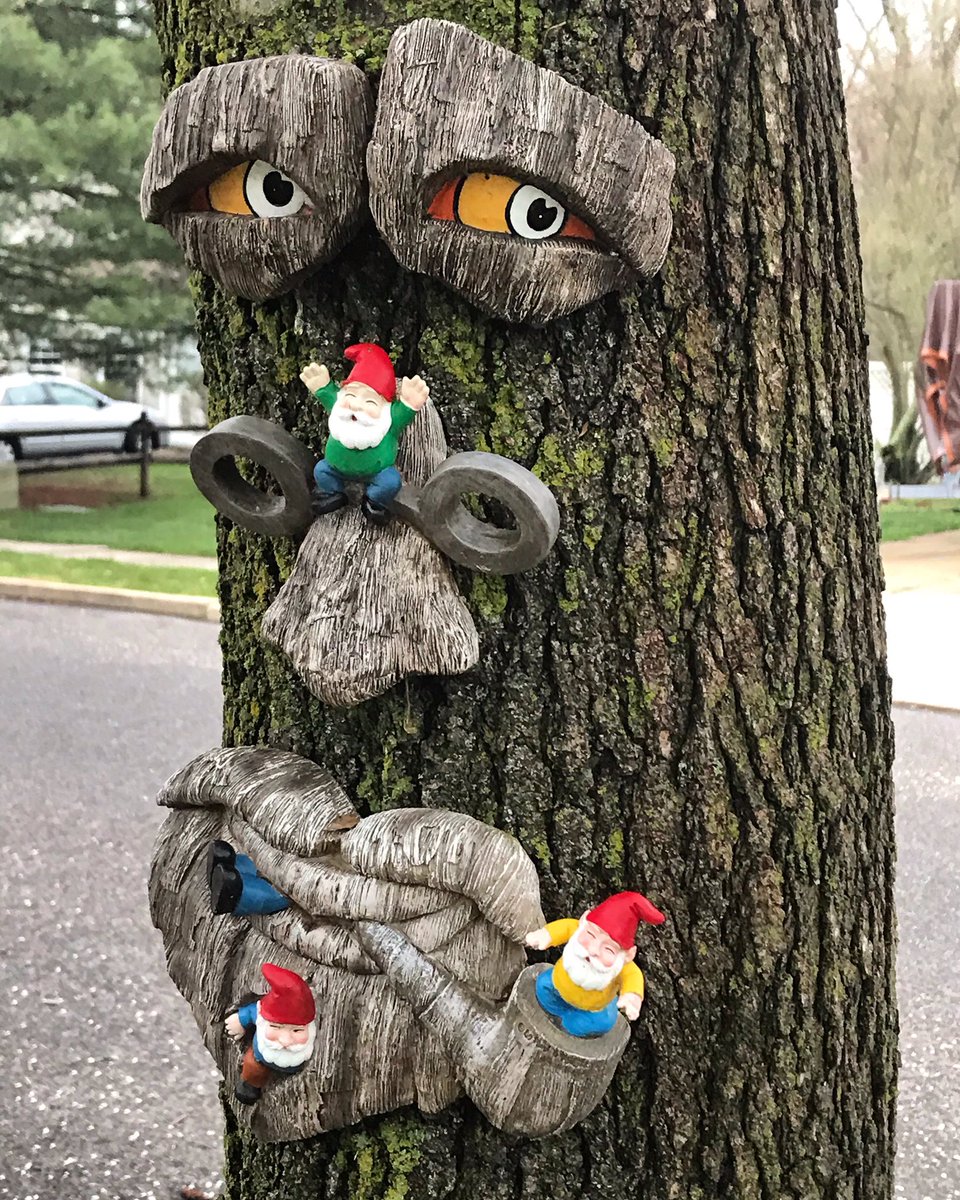 SandyTrezza's tweet image. You never know who or what you will discover on your daily walk!