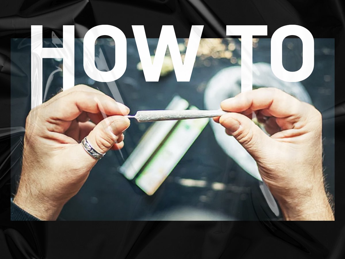 HerbiesSeeds's tweet photo. 😃 Have spent almost the whole quarantine, trying to roll a perfect joint? Check out our guide! Read more: https://t.co/Lovjx0IfCd

#perfectjoint #cannabisseeds #smokingmarijuana #smokingcannabis #cannabis #marijuana #howtorollajoint https://t.co/xSQyeiJday