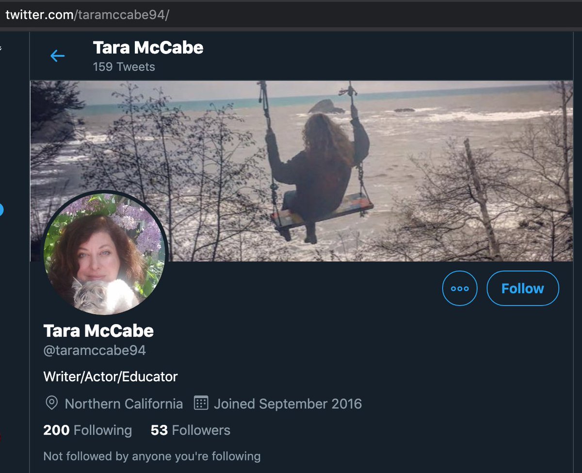 Tara Reade has been very active online since 2009, mostly under her other names. While she claims to have been sexually assaulted by Joe Biden in 1993, up until 2019, all she did publicly was praise Joe Biden under her old Twitter account  @taramccabe94 (thread)