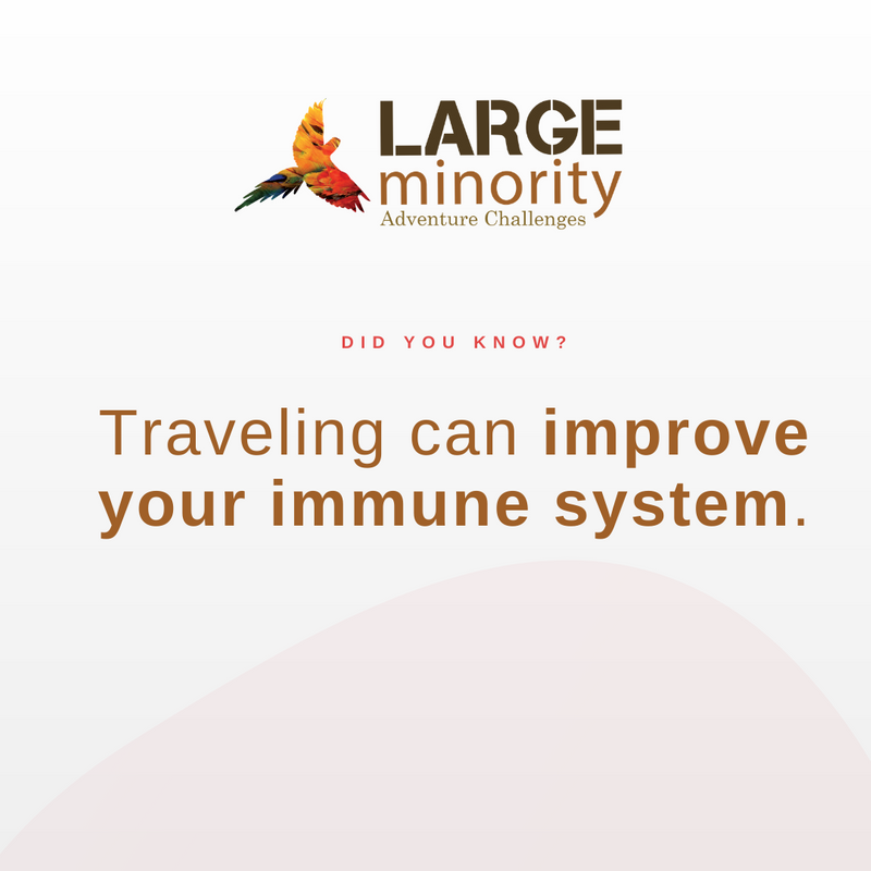 LARGEminority's tweet photo. Japanese study, published in 2010, found that short, leisurely trips to a wilderness area boosted the immune system for more than 30 days. ✅

#LargeMinority #traveltheworld #travelmore https://t.co/ONoeZOLPCB