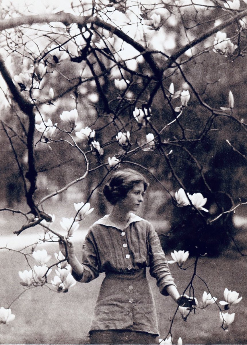 chowleen's tweet photo. It is not enough that yearly, 
down this hill,
April
Comes like an idiot, babbling and strewing flowers.

-Edna St Vincent Millay
#everynightapoem #april https://t.co/54Sf7oEtUX