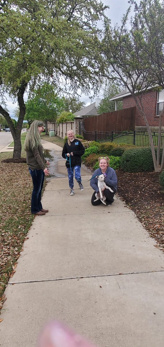 NurseKogel's tweet photo. I have a #HealthyHawk from @Hudson_Hawks at my house today.  We like @NurseJessicaCox   Take a Walk Tuesday challenge.
#GISDAlwaysConnected 
#RunMustangsRun
@GISDhealth 
@SHS_Mustangs https://t.co/9fSbedVQbo